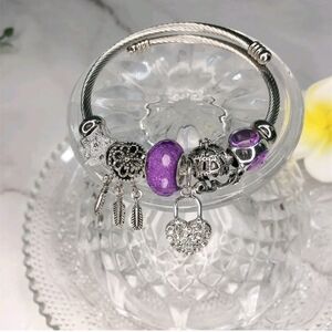 ✨️Sale✨️Dream Catcher Heart Lock  Bracelet - Purple
